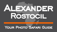 Alexander Rostocil Logo